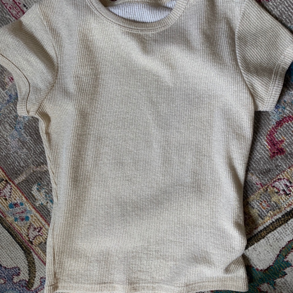 American vintage glitter top